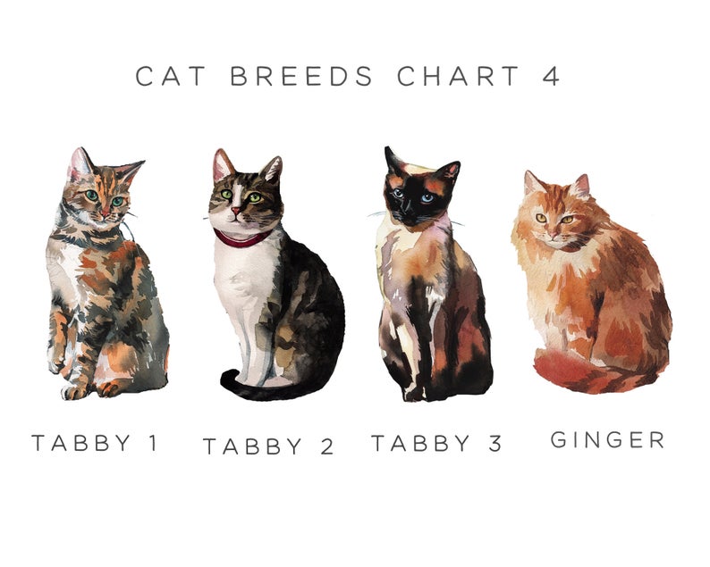 Cute Watercolour Cat Valentines Day Cards, Personalised