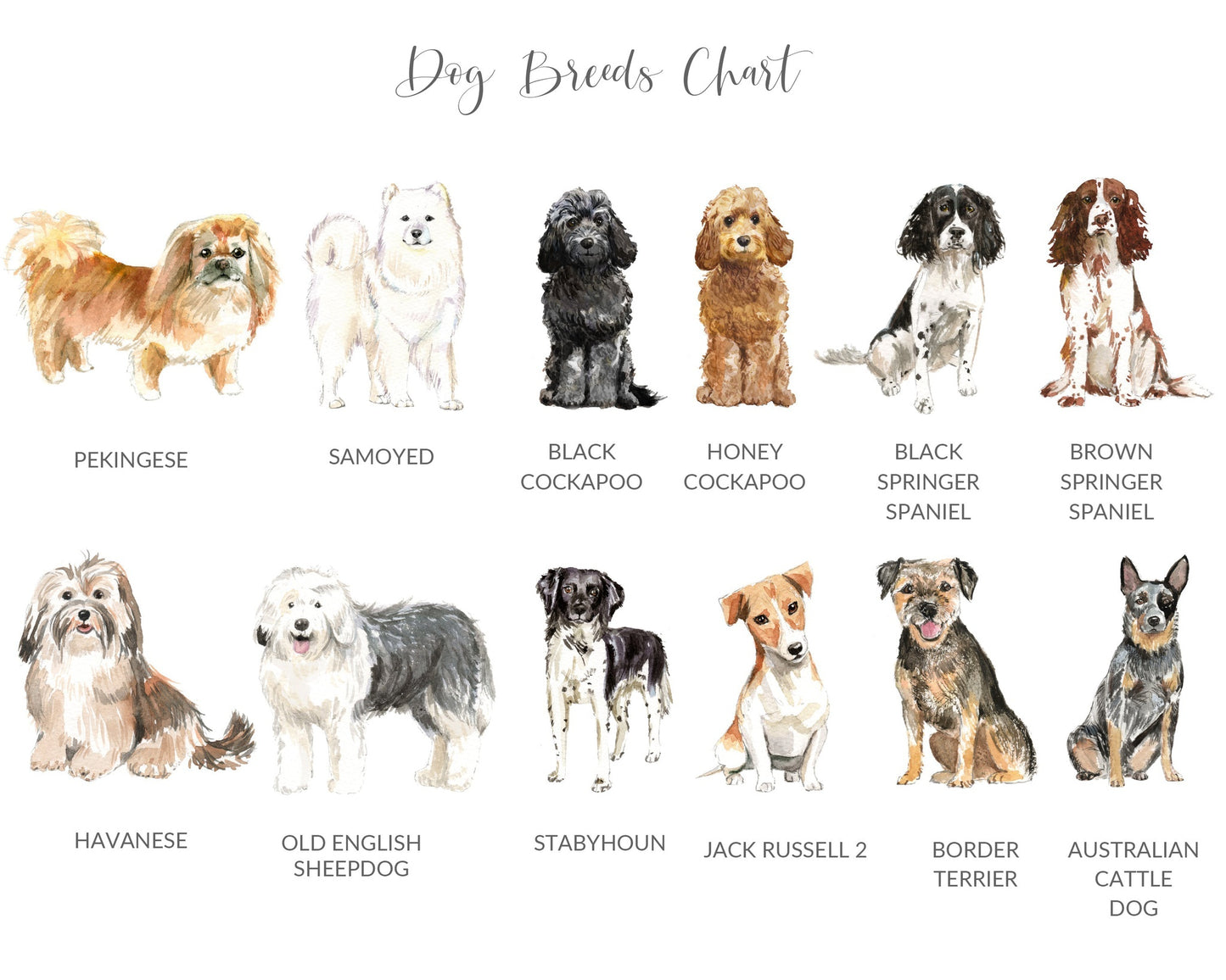 English Bulldog Christmas Cards, Quantity of Your Choice