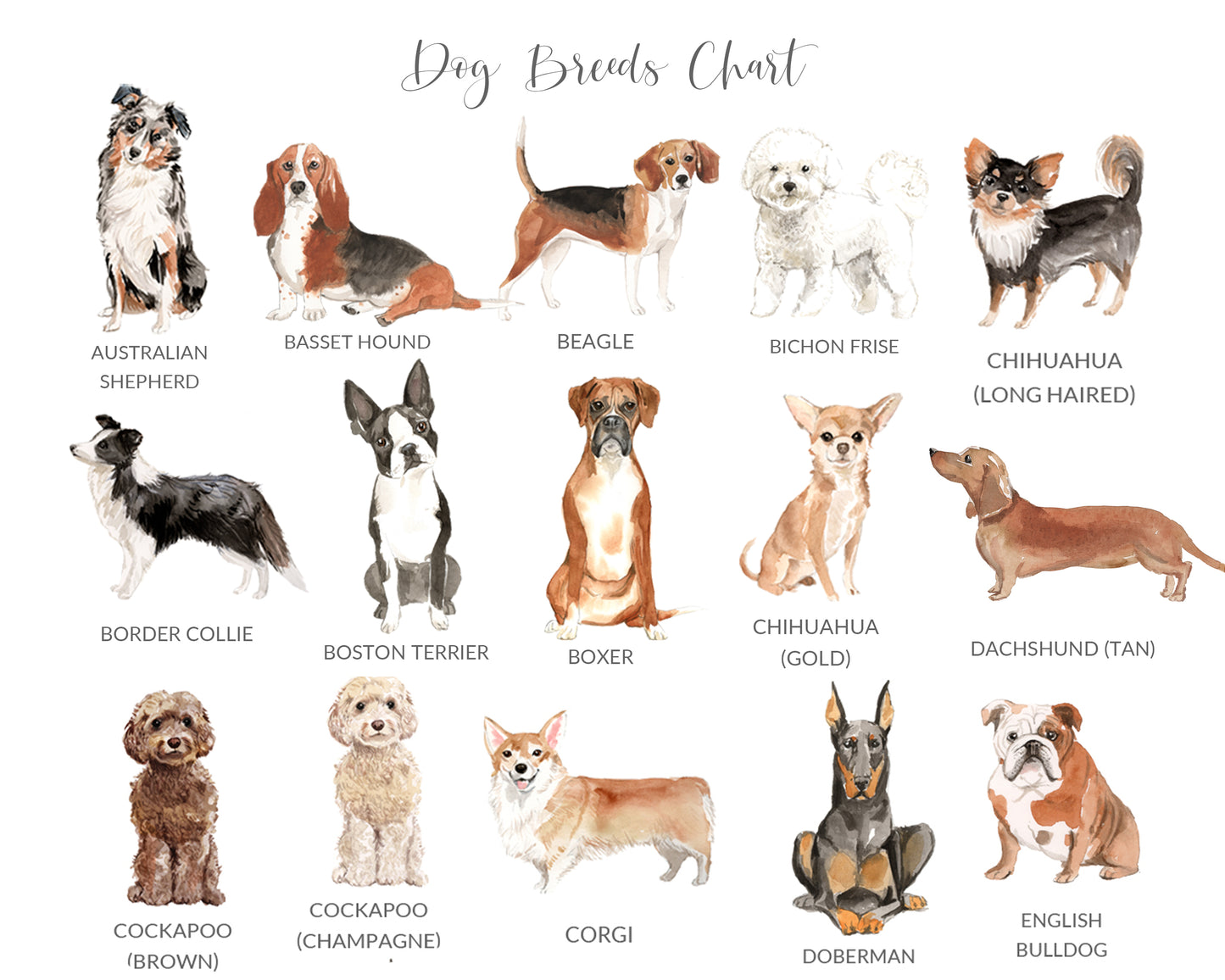 Personalised Valentines Card from the Dog for Dad