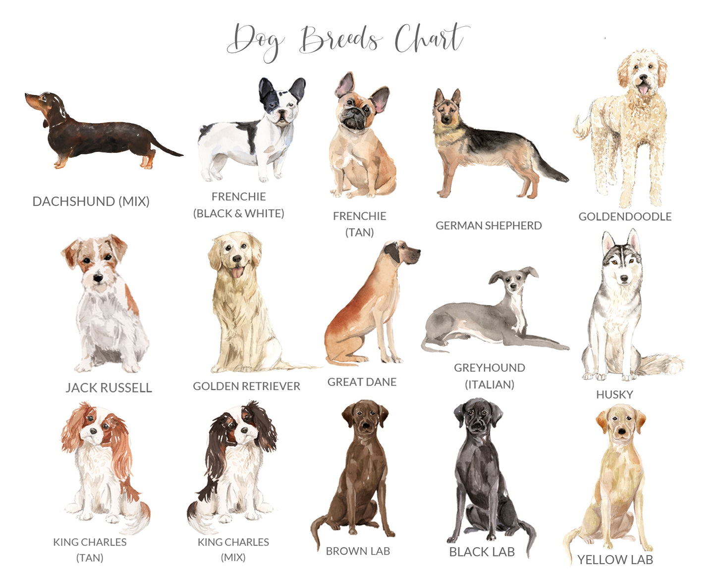 Packs of Christmas Cards Labrador, Quantity of Your Choice