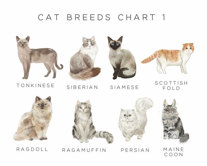 Alternative Wedding Guest Book Sign Customised, Cats Design