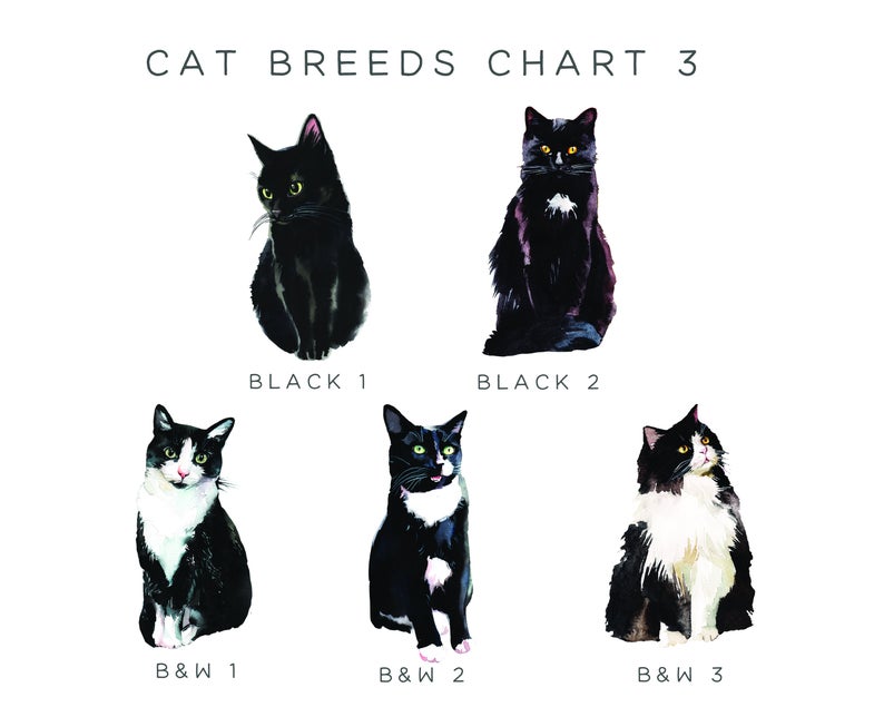Personalised Black Cat Prints Watercolour, Customised by Breed
