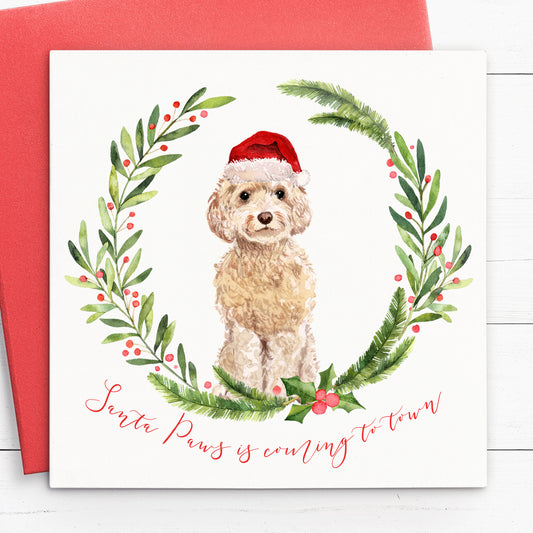 cockapoo christmas cards pack multipack set red envelopes matte white cardstock