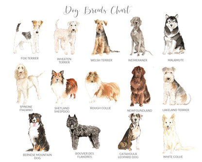 Personalized Dog Memorial Gift Print, Customised by Breed