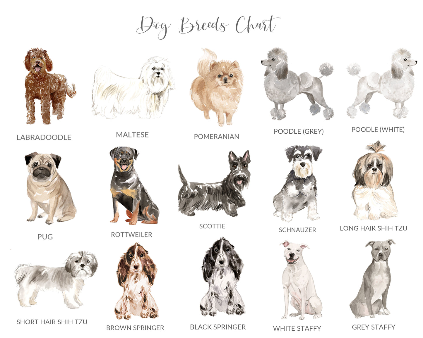 Cute Dog Art Print Watercolour, Customised with Breed and Name