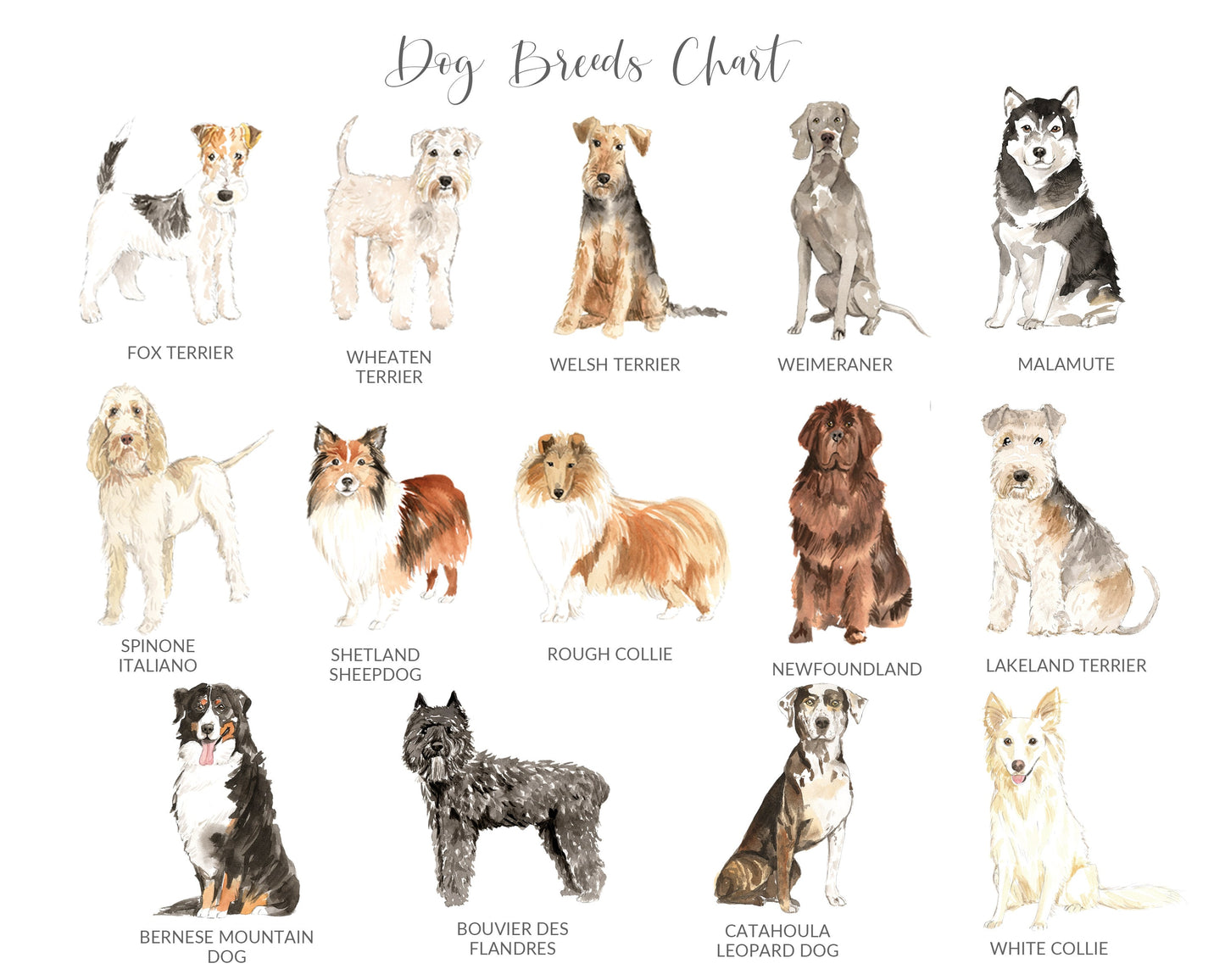 Watercolour Cat and Dog Prints, Customised by Breed