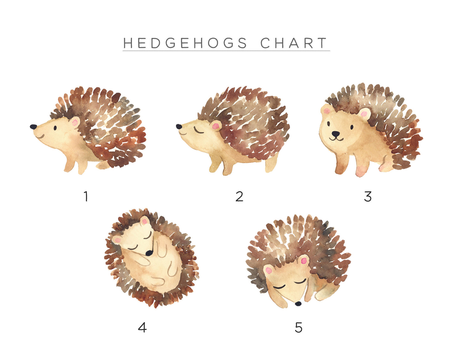 Personalised Wall Art Family, Cute Hedgehogs Design